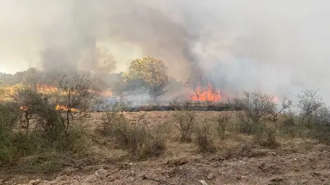 incendio en R&aacute;bano de Aliste (25)