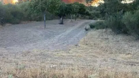 incendio en R&aacute;bano de Aliste (31)