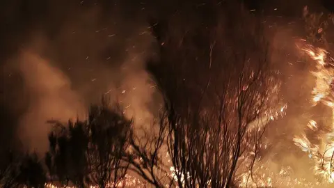 Incendio R&aacute;bano de Aliste _11