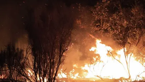Incendio R&aacute;bano de Aliste _12