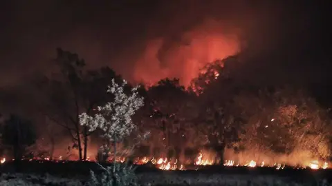 Incendio R&aacute;bano de Aliste _17