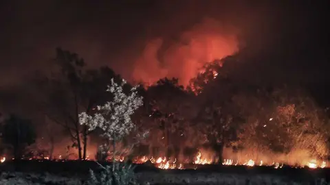 fuego r&aacute;bano de aliste_24