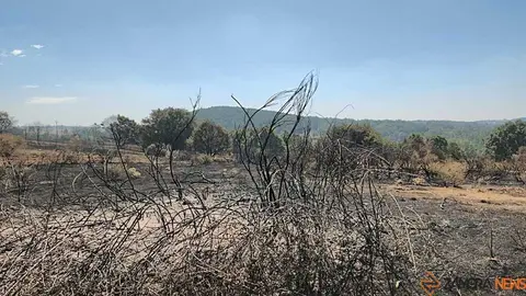 incendio forestal R&aacute;bano de Aliste _11