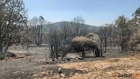 incendio forestal R&aacute;bano de Aliste _13