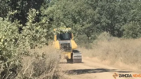 incendio forestal R&aacute;bano de Aliste _22