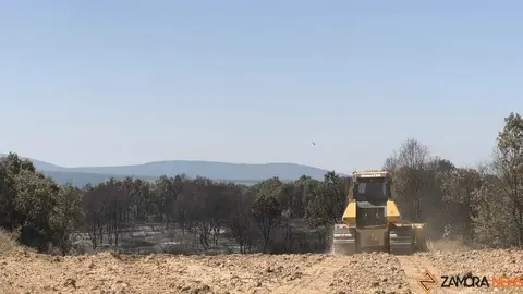 incendio forestal R&aacute;bano de Aliste _25
