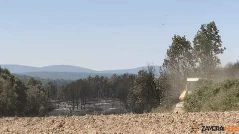 incendio forestal R&aacute;bano de Aliste _26