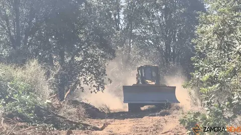 incendio forestal R&aacute;bano de Aliste _36