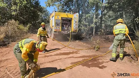 incendio forestal R&aacute;bano de Aliste _45