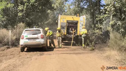 incendio forestal R&aacute;bano de Aliste _51