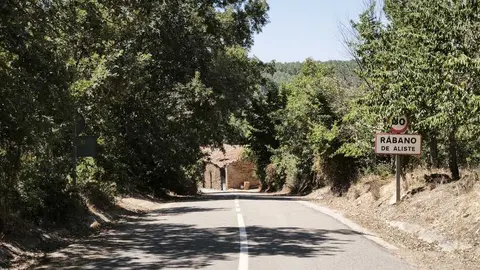 incendio forestal R&aacute;bano de Aliste 