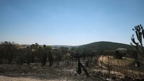 incendio forestal R&aacute;bano de Aliste _2