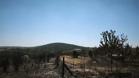 incendio forestal R&aacute;bano de Aliste _3