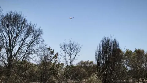 incendio forestal R&aacute;bano de Aliste _6