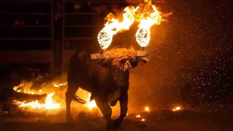 Toro Jubilo de Medinaceli (soria noticias)