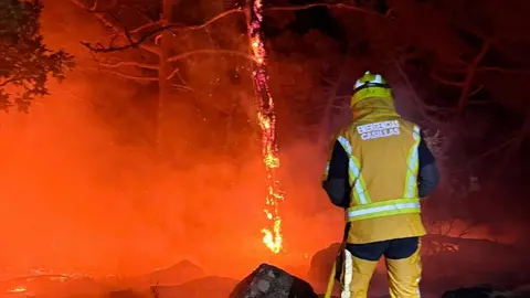 Miembro de Protecci&oacute;n Ciivl de Casillas hace frente al fuego.