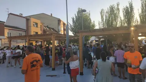 Pinilla fiestas 