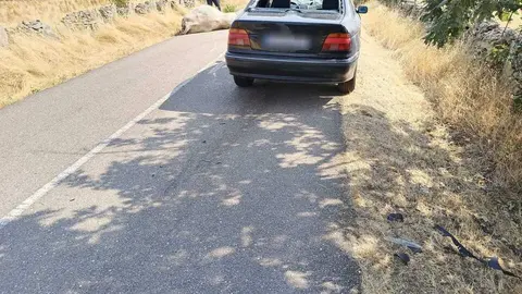 Estado en el que qud&oacute;a el veh&iacute;culo tras el choque con una vaca