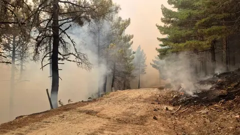 Incendio de Burgohondo en el Valle del Ti&eacute;tar. Foto &Aacute;vilared