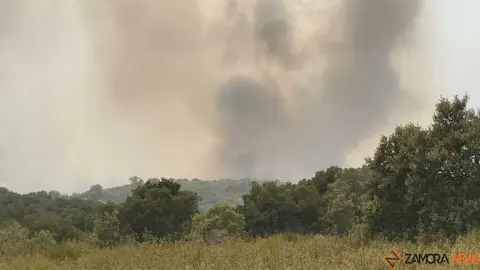 Incendio Fermoselle _9
