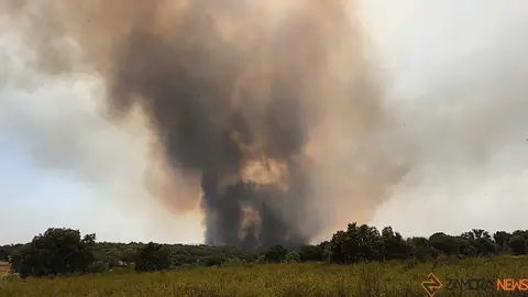 incendio Fermoselle 