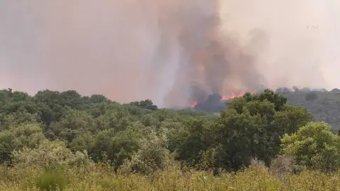 incendio Fermoselle _3