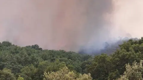 incendio Fermoselle _4
