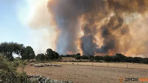 incendio Fermoselle _3