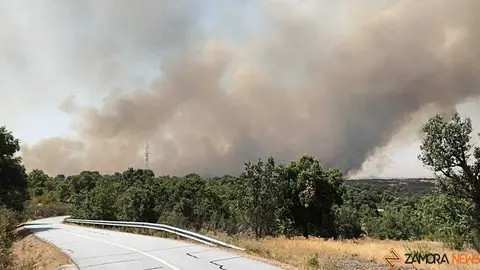 incendio Fermoselle _8
