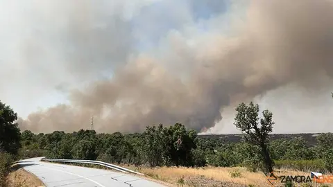 incendio Fermoselle _10