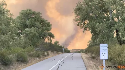 incendio Fermoselle _18