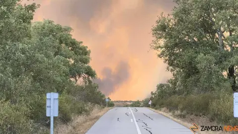 incendio Fermoselle _19