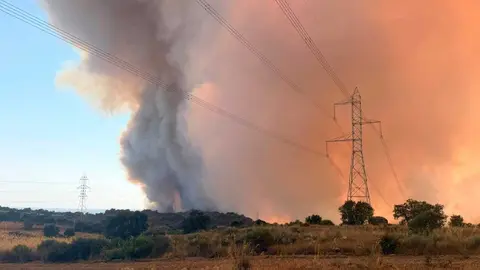 incendio Fermoselle  (6)