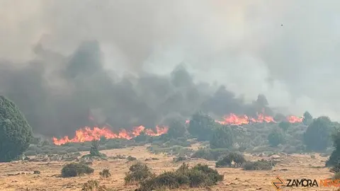 incendio Fermoselle _5