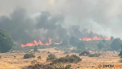 incendio Fermoselle _7