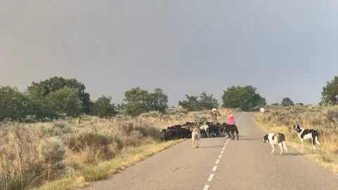 Incendio Fermoselle _10