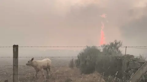 Sayago fuego Muga