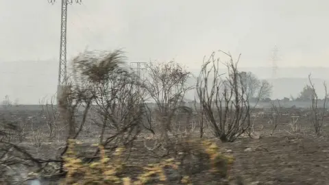 FERMOSELLE FUEGO SAYAGO _9