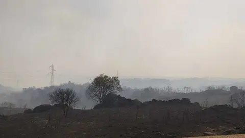FERMOSELLE FUEGO SAYAGO _14