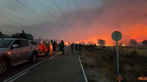 FERMOSELLE FUEGO SAYAGO _15