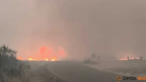 FERMOSELLE FUEGO SAYAGO _19