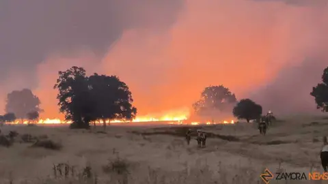 FERMOSELLE FUEGO SAYAGO _27