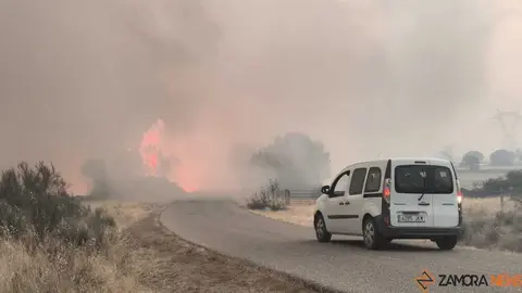 FERMOSELLE FUEGO SAYAGO _28