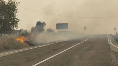 FERMOSELLE FUEGO SAYAGO _33