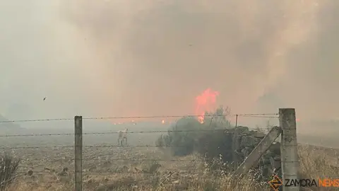 FERMOSELLE FUEGO SAYAGO _35