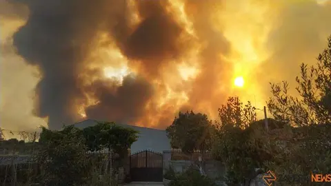 FERMOSELLE FUEGO SAYAGO _37