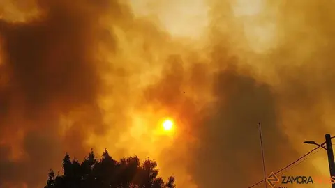 FERMOSELLE FUEGO SAYAGO _40