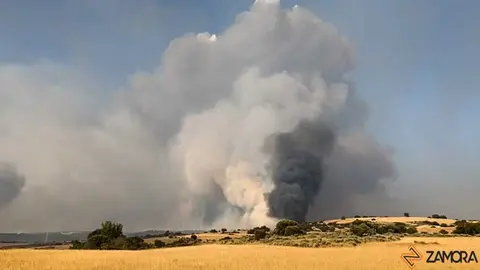 FERMOSELLE FUEGO SAYAGO _53