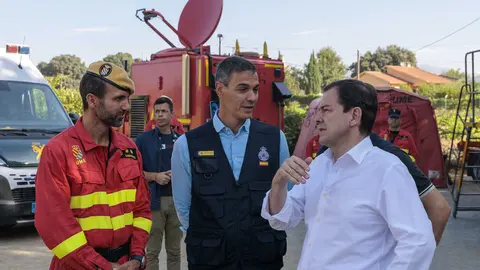 Reuni&oacute;n del CECOD