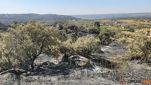 Incendio Fermoselle _21